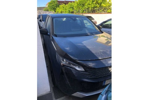 2021 Peugeot 3008, Dyzelinas